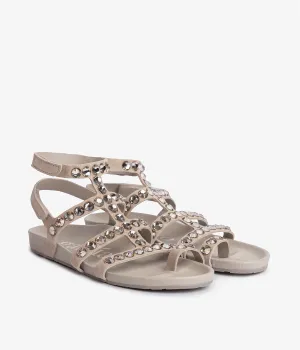 aroa / seasalt castoro