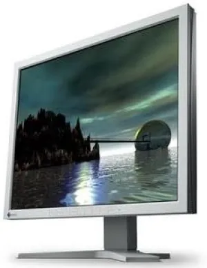 EIZO 19IN LCD 450:1 1600X1200 CG19 Gray 2- Dvi-i USB with Colornavigator