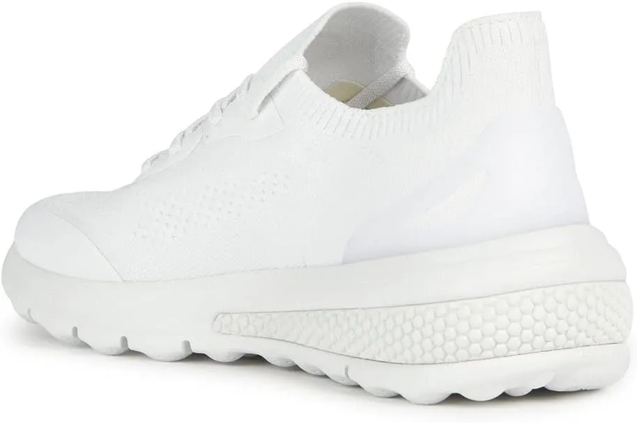 Geox Women's Sneaker