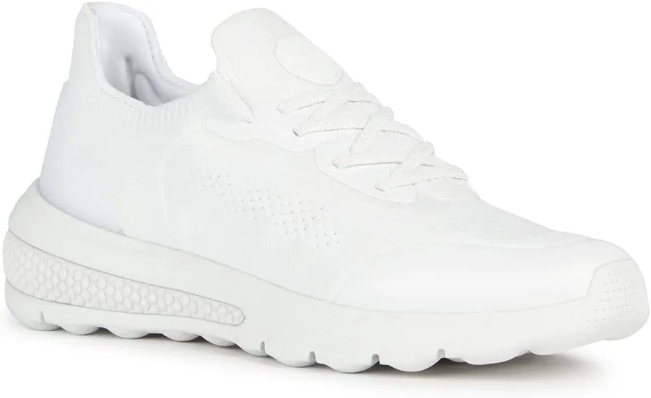 Geox Women's Sneaker