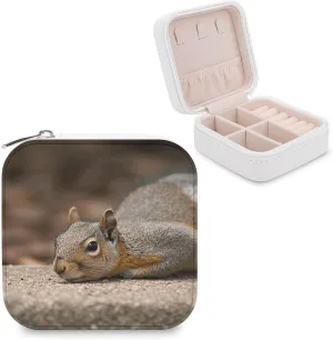 Makeup Mirror, Squirrel Just Laying Printed Makeup Mirror,portable Makeup Mirror,durable Makeup Mirror,office Makeup Mirror