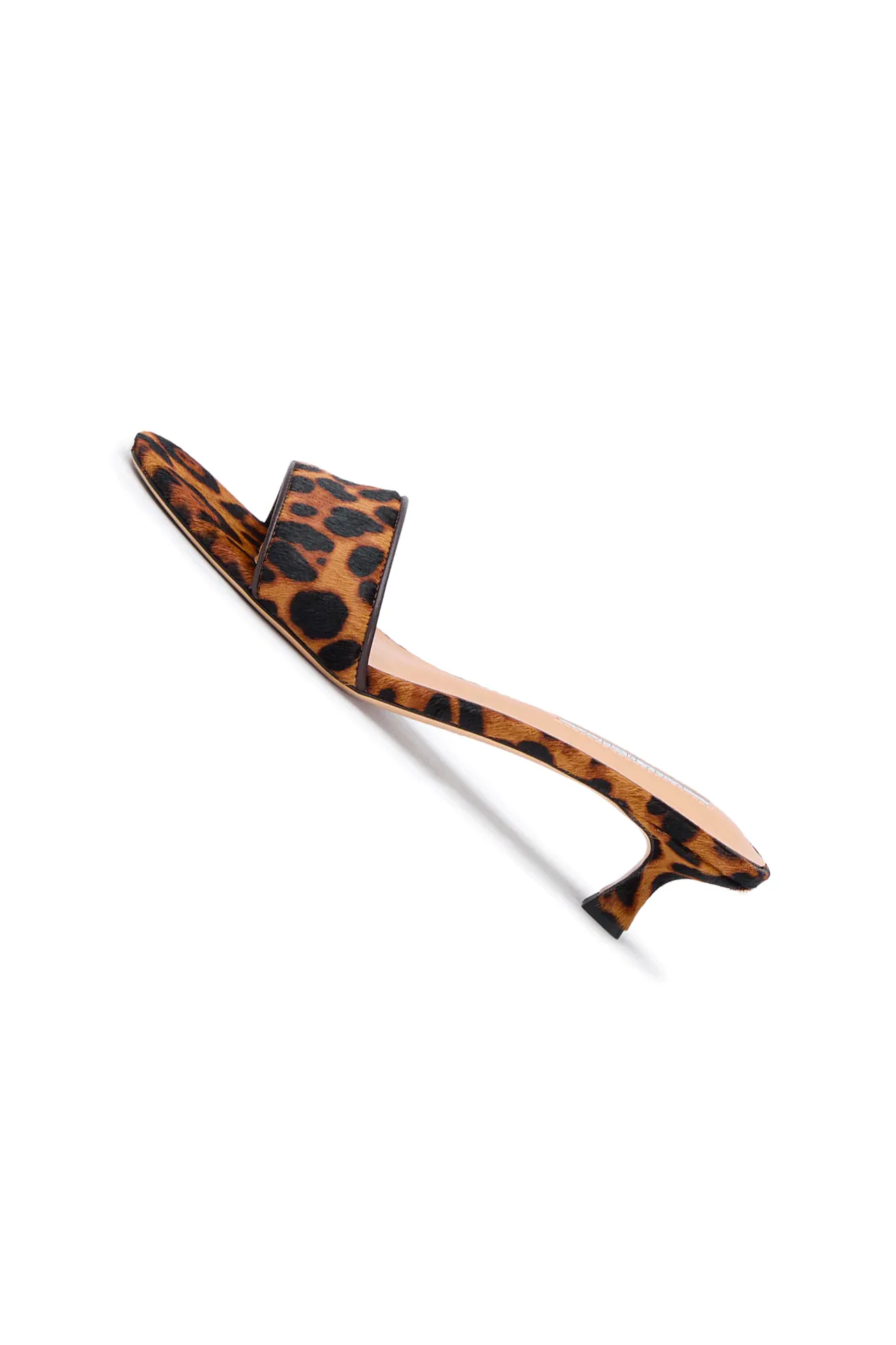 PENNY LEOPARDO
