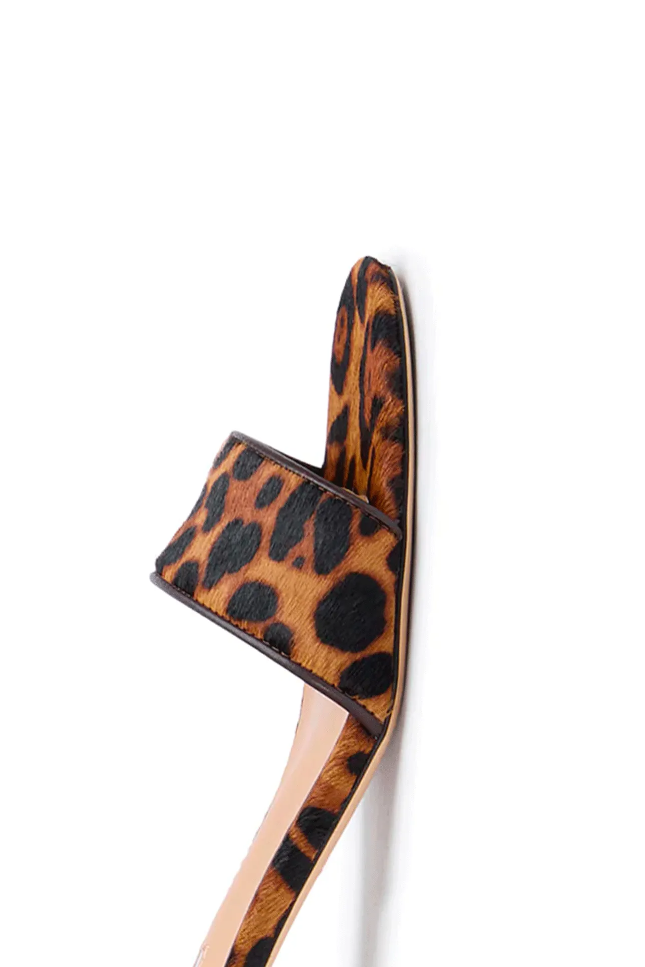 PENNY LEOPARDO