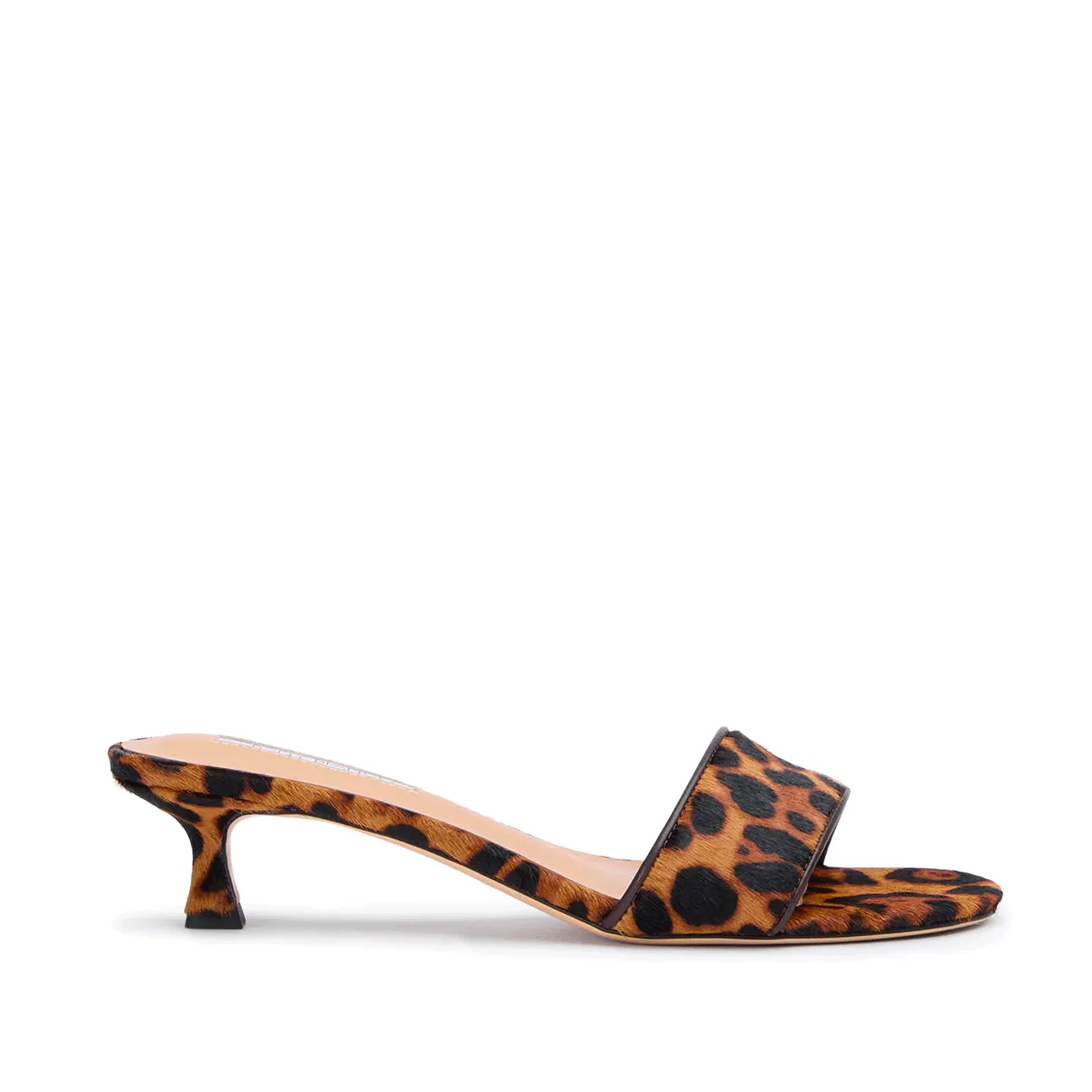 PENNY LEOPARDO